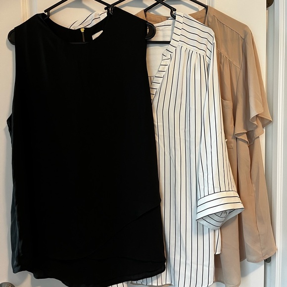 3 Pack - Chicos & Torrid Harper size 3 - Picture 11 of 11